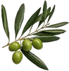 Olives