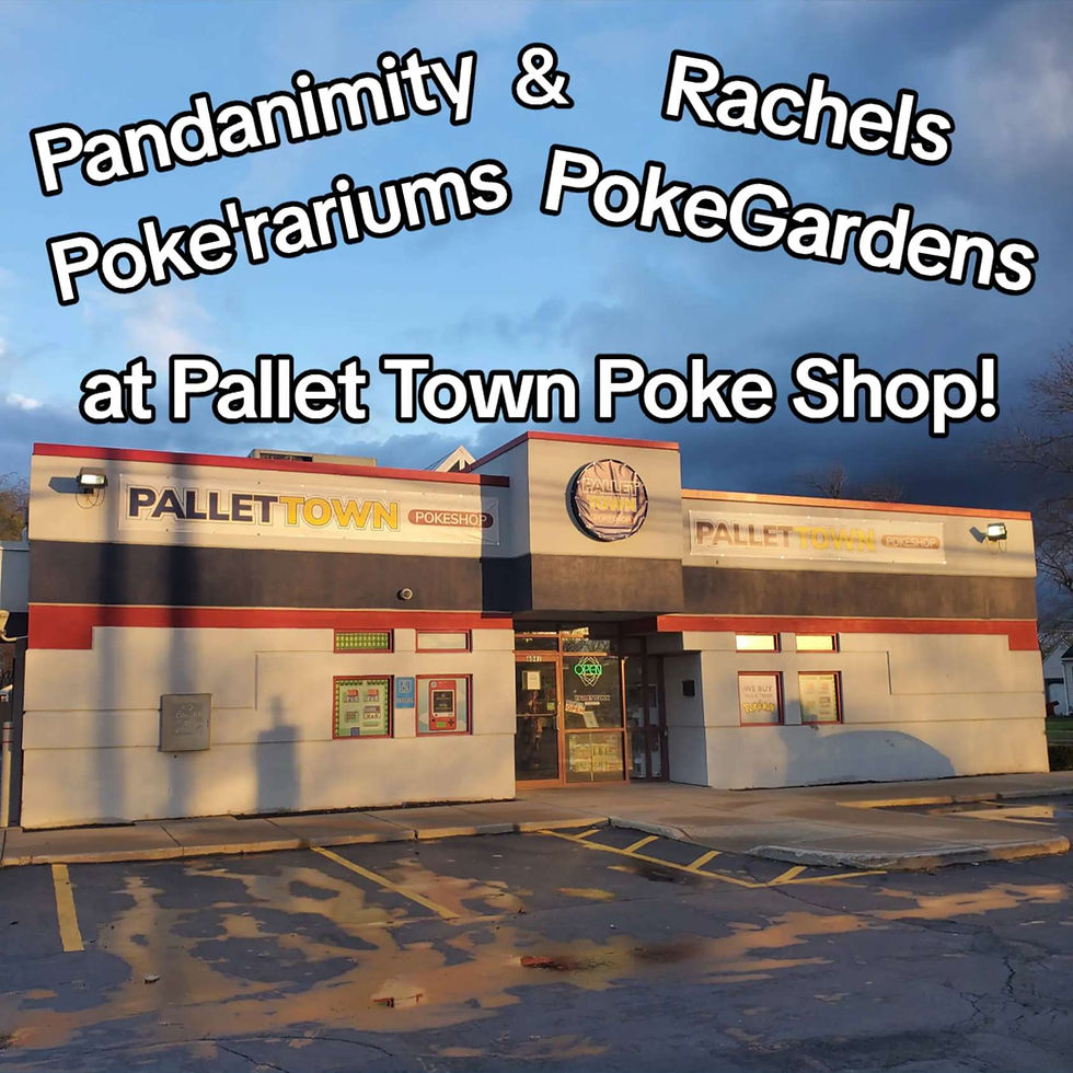 Pandanimity Poke'rariums and Rachels PokeGardens are at Pallet Town Poke Shop