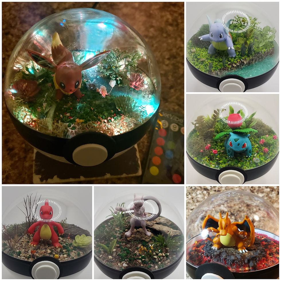 4in Poke'rarium, pokemon pokeball terrarium, and other characters