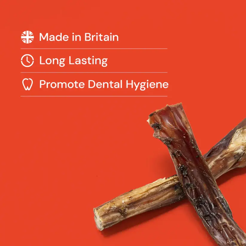 Womack's Doggie Delights: Made in Britain, long-lasting, promote dental hygiene