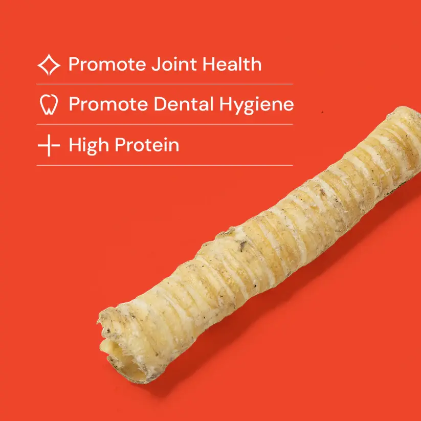 High-protein dog chew promotes joint and dental health