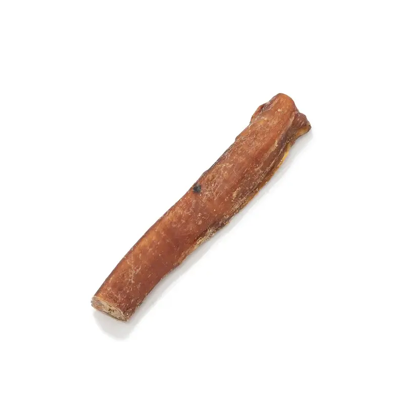 British Pizzles Bully Stick dog chew