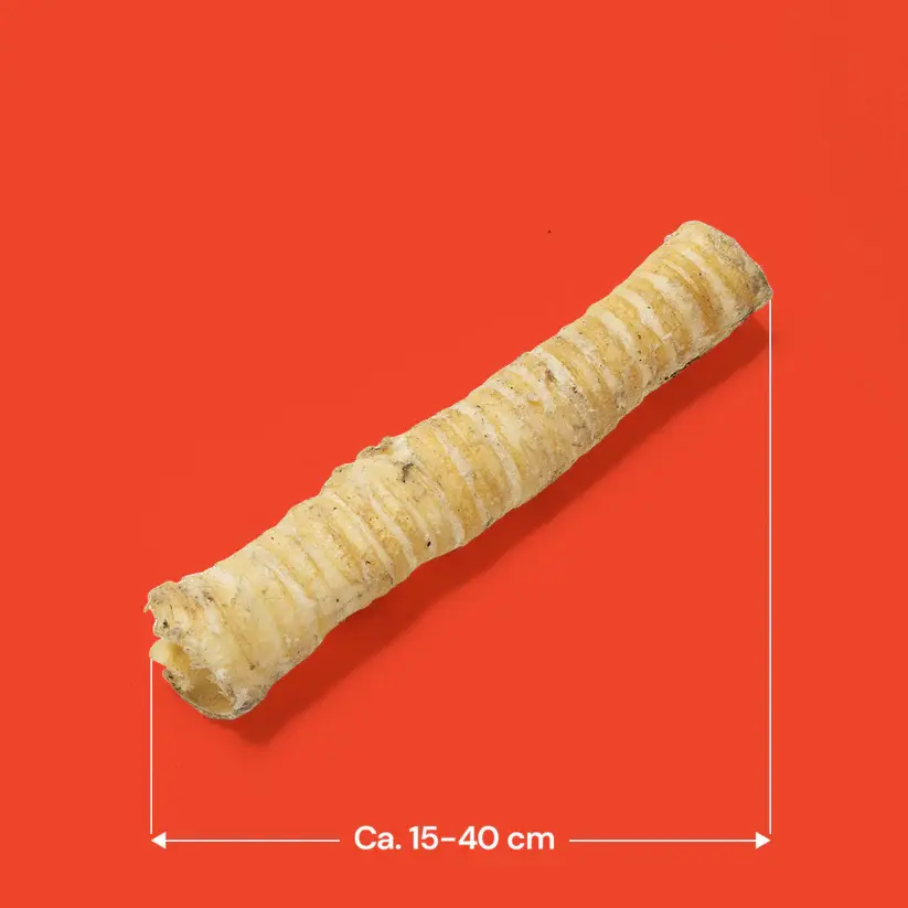 Dog chew, Ca 15-40 cm