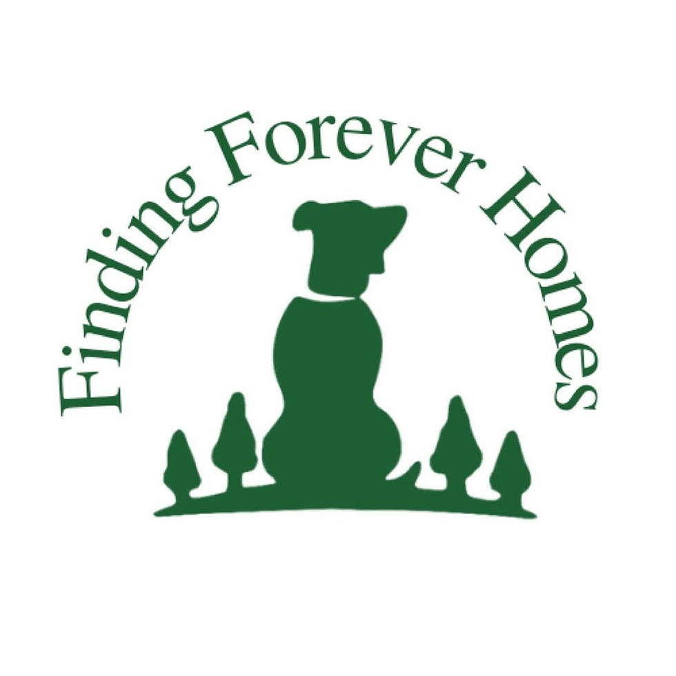 Finding Forever Homes