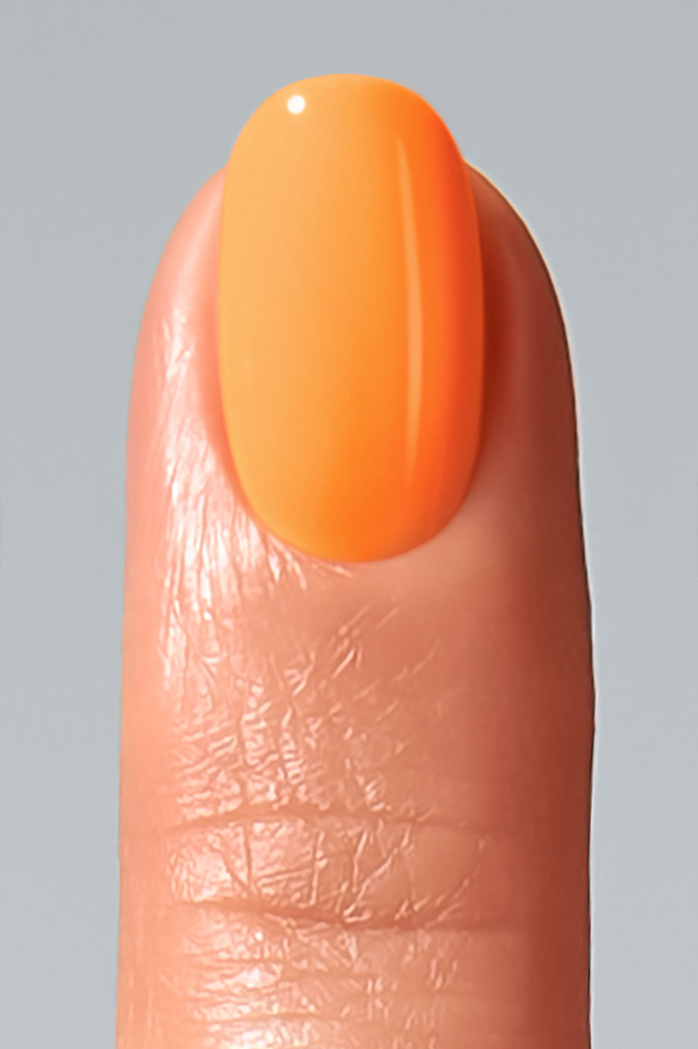 Miniatura: SALMON