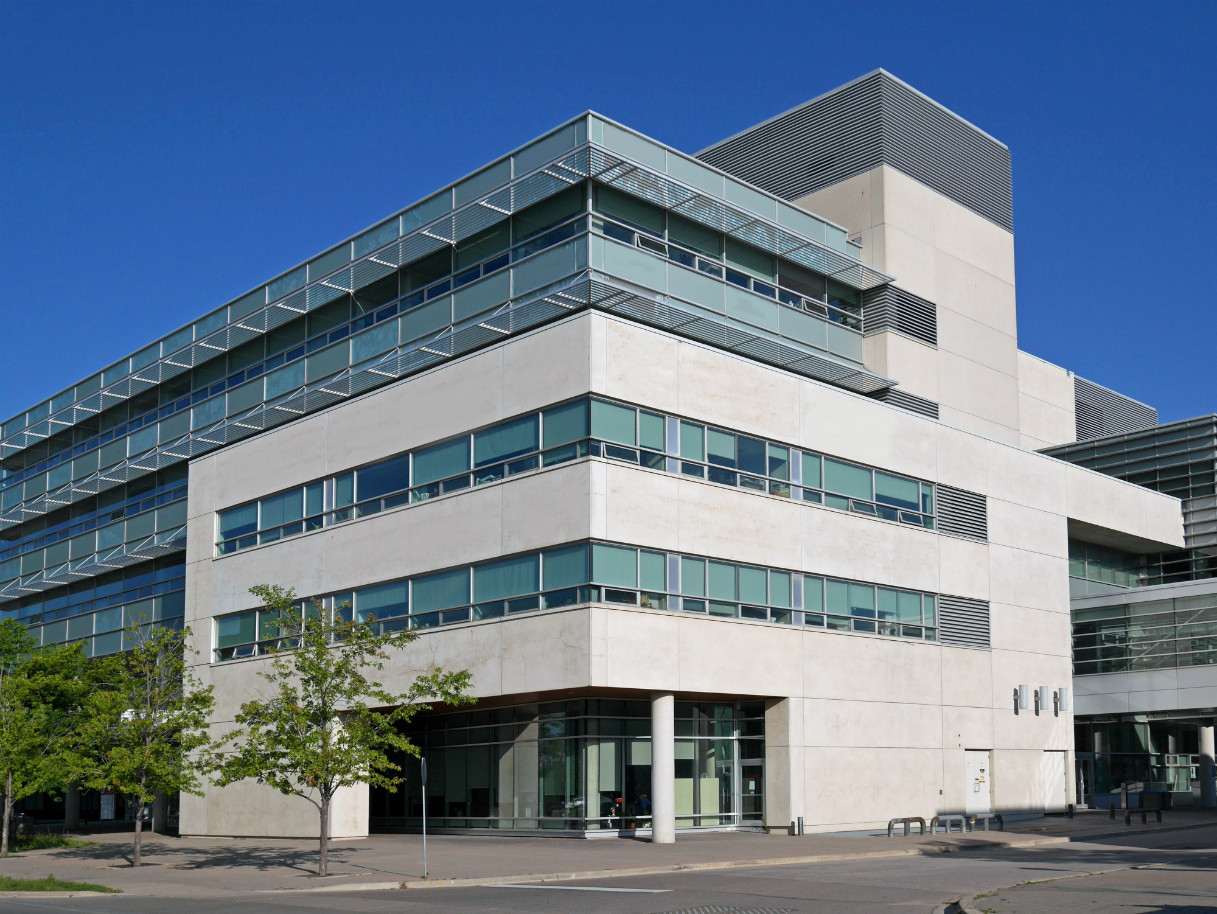 About us | American Creator