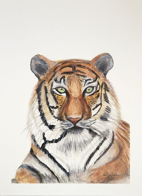 Watercolor of a tiger