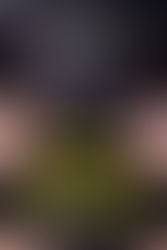 House Husband: Parts 22-28