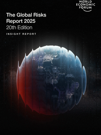 세계경제포럼(2025) 글로벌 리스크 보고서 2025 제20판 인사이트 보고서
