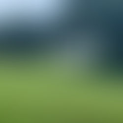 Round 51: Sharon Country Club