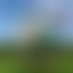 Olympic Golf Didn't Need a Bronze Medal Playoff