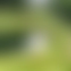 Power Ranking My Favorite Ways To Travel Around a Golf Course