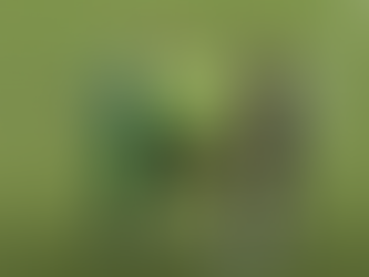 Pierwsza porażka w sezonie.