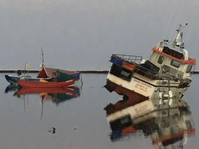 Reflections on January & February 2021