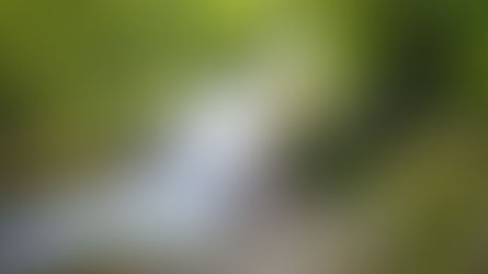 10 Cachoeiras incríveis e desconhecidas para bate e volta no Rio de Janeiro