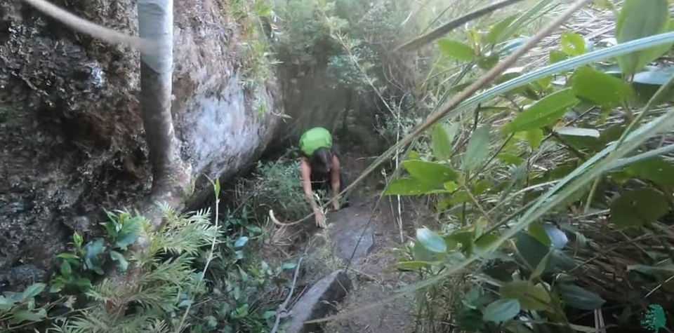 Trilha Pedra do Papudo 