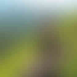 7 Trilhas fáceis no Rio de Janeiro