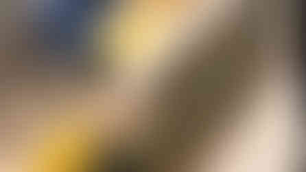 o que fazer no Alasca?