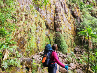 Expedição Monte Roraima