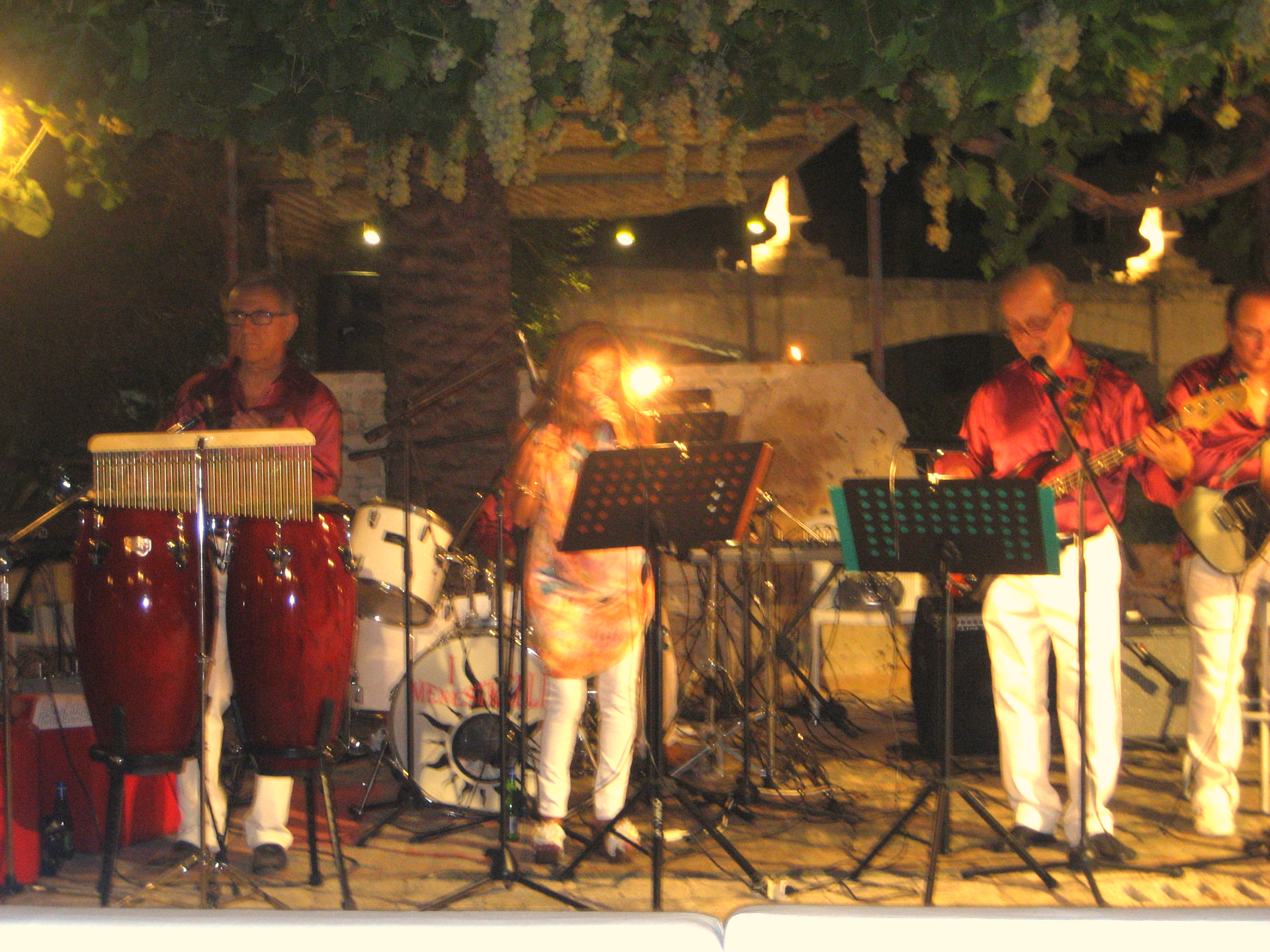 Live Music & Discos