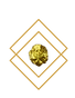 Times Neue Roman (2).png