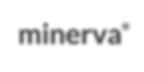 LOGOS Minerva.jpg