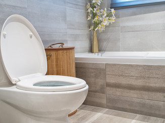 We can help with bathroom plumbing.