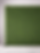 greenery wall rental near me