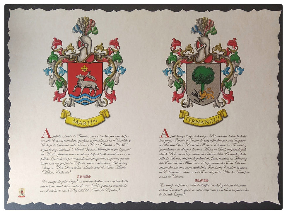 Lámina heráldica 2 apellidos ( vintage ) DINA 3 PDF