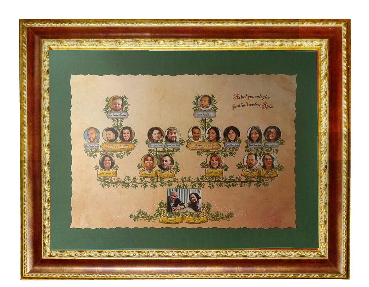 arbol genealogico con fotos impreso enmarcado