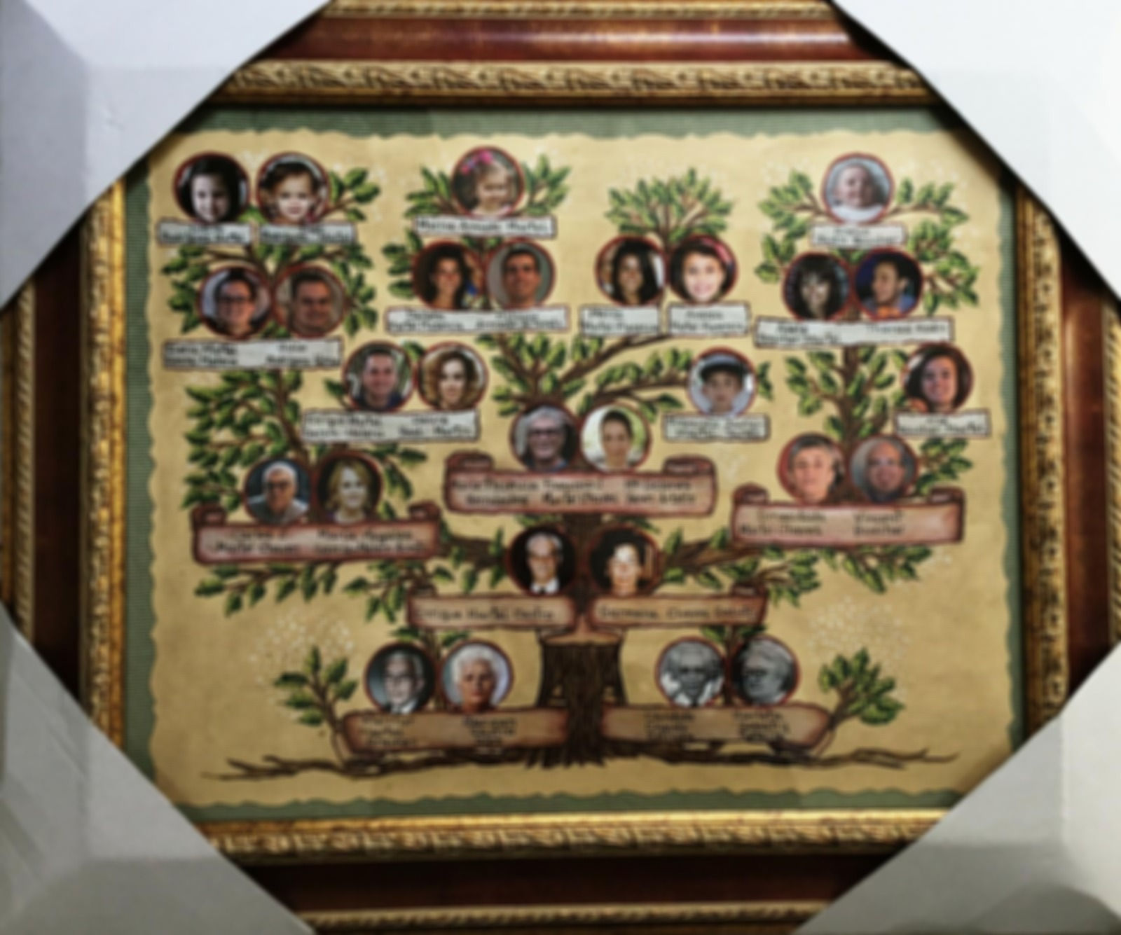 arbol-genealogico-familiar-con-fotos