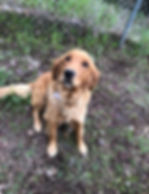 Copy of IMG_2073_edited