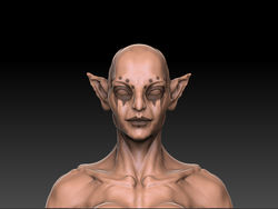 female Tests_0001_Layer 2