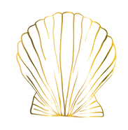 iStock-1355394179 (1)_edited.png