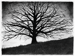 TWILIGHT HOUR