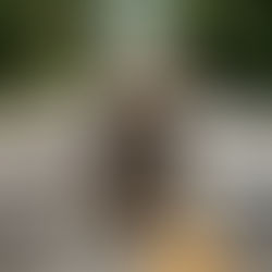 Review: Updated 'Pet Sematary' doesn't live up to its source material