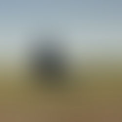 'The Woman in the Yard' review: High on atmosphere but low on scares