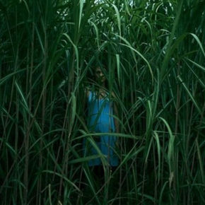 Review: Creepy 'In The Tall Grass' an effective, if familiar, Stephen King adaptation