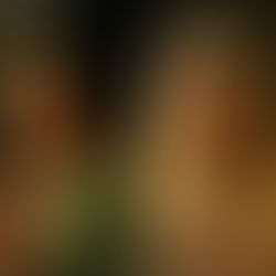 'Polite Society' review: Energetic comedy loses its identity