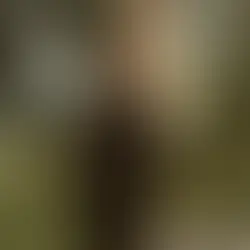 'Marlowe' review: Liam Neeson led noir mystery a sluggish case