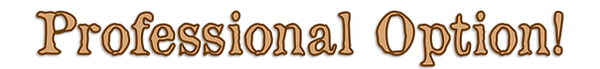 Professional Option.png