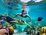 Jack's Snorkeling Voyage 