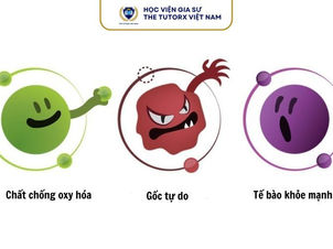 Giải thích tính khử và mối liên hệ chặt chẽ với phản ứng Oxi hóa – Khử