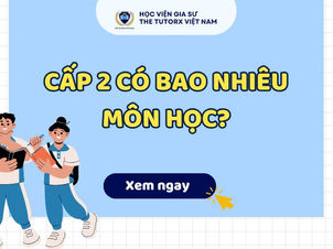 Cấp 2 có bao nhiêu môn học?