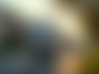 Customer Testimonials: Why Choose move4u Transport Services