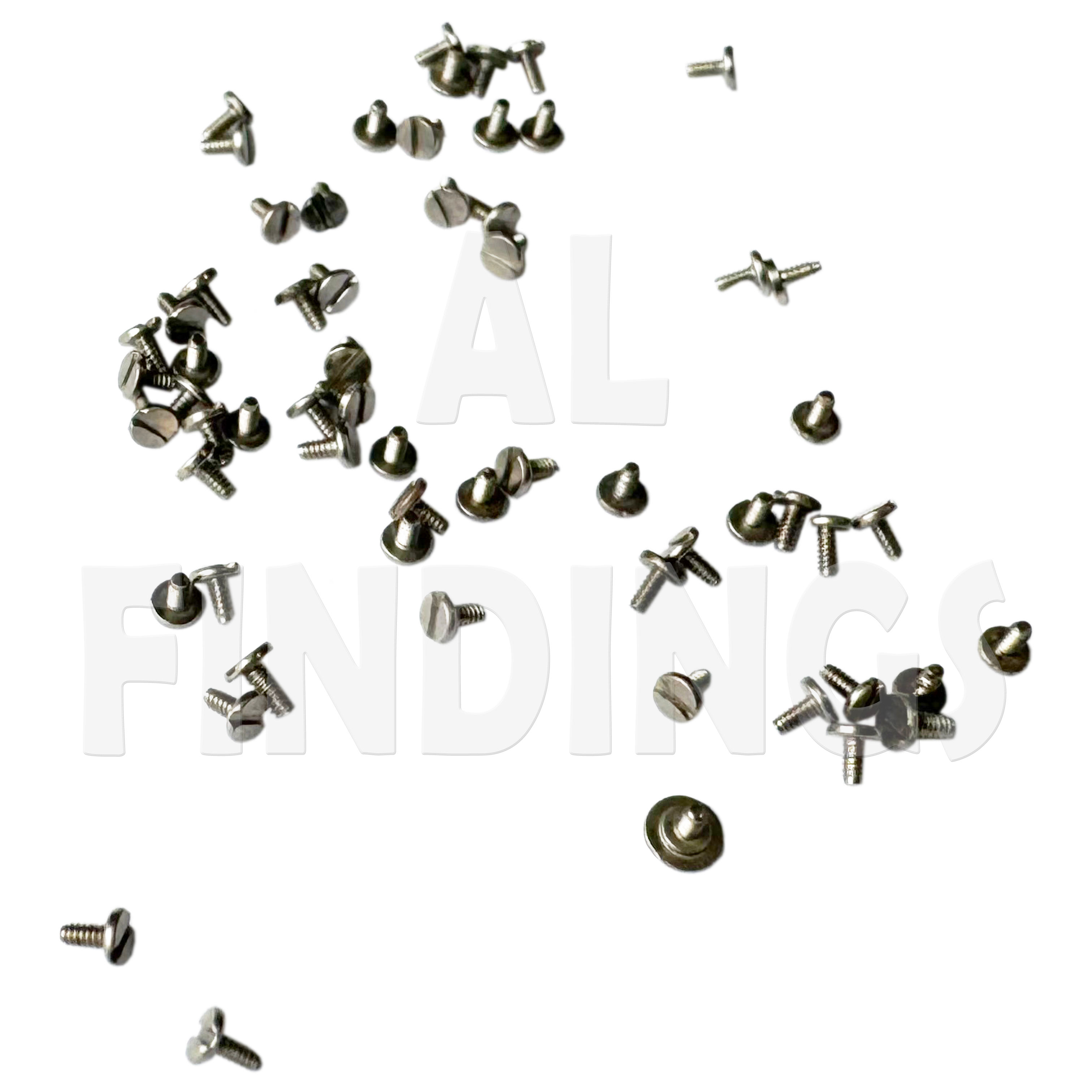Screws for Battery Clasps