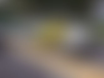 Back Roads to Mannum