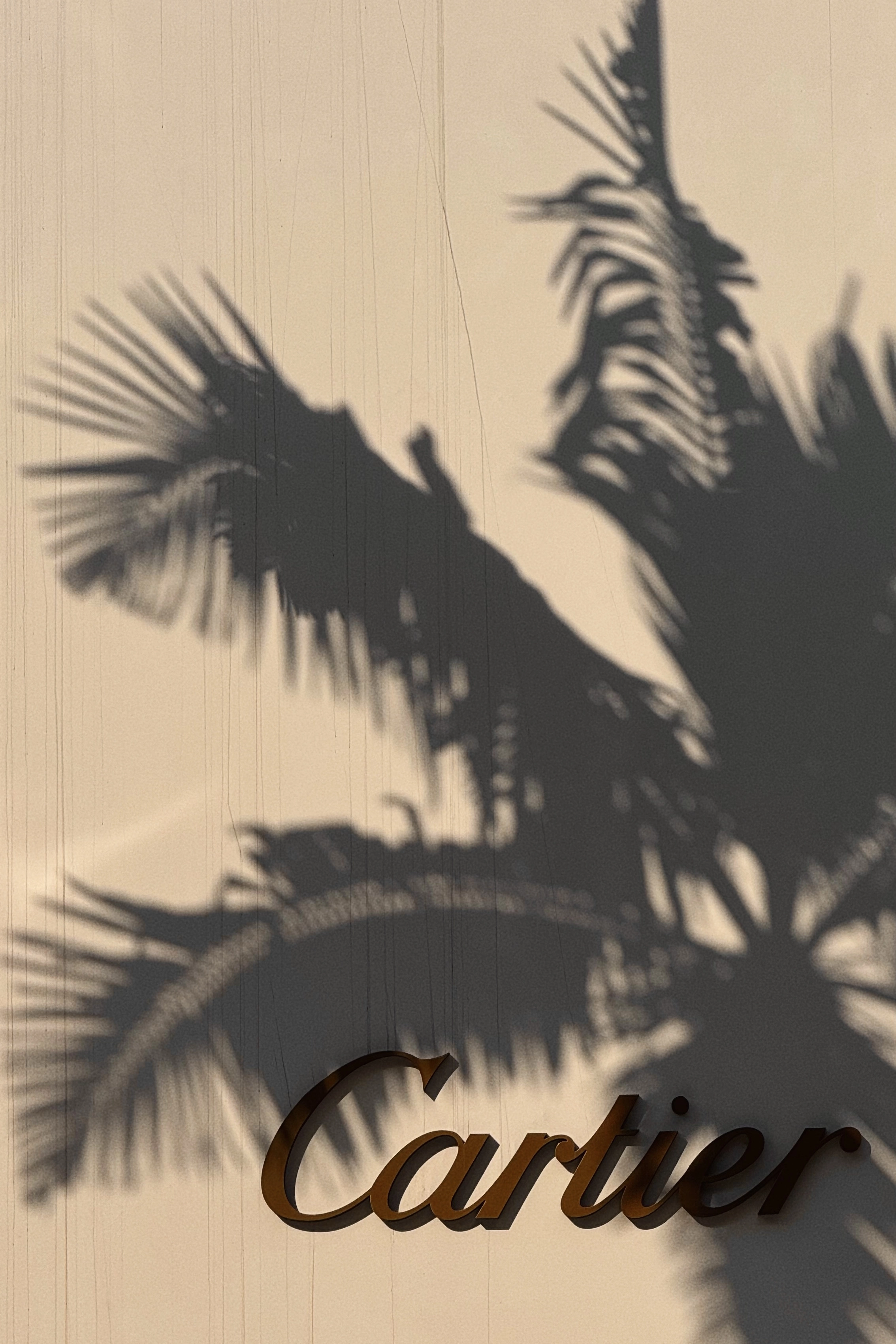 Cartier sign on a warm wall with palm tree shadows, natural light creating luxury atmosphere, interplay of brand and environment, надпись Cartier на стене с тенями пальм и теплым светом, letrero Cartier con sombras de palmeras en pared cálida con ambiente de lujo