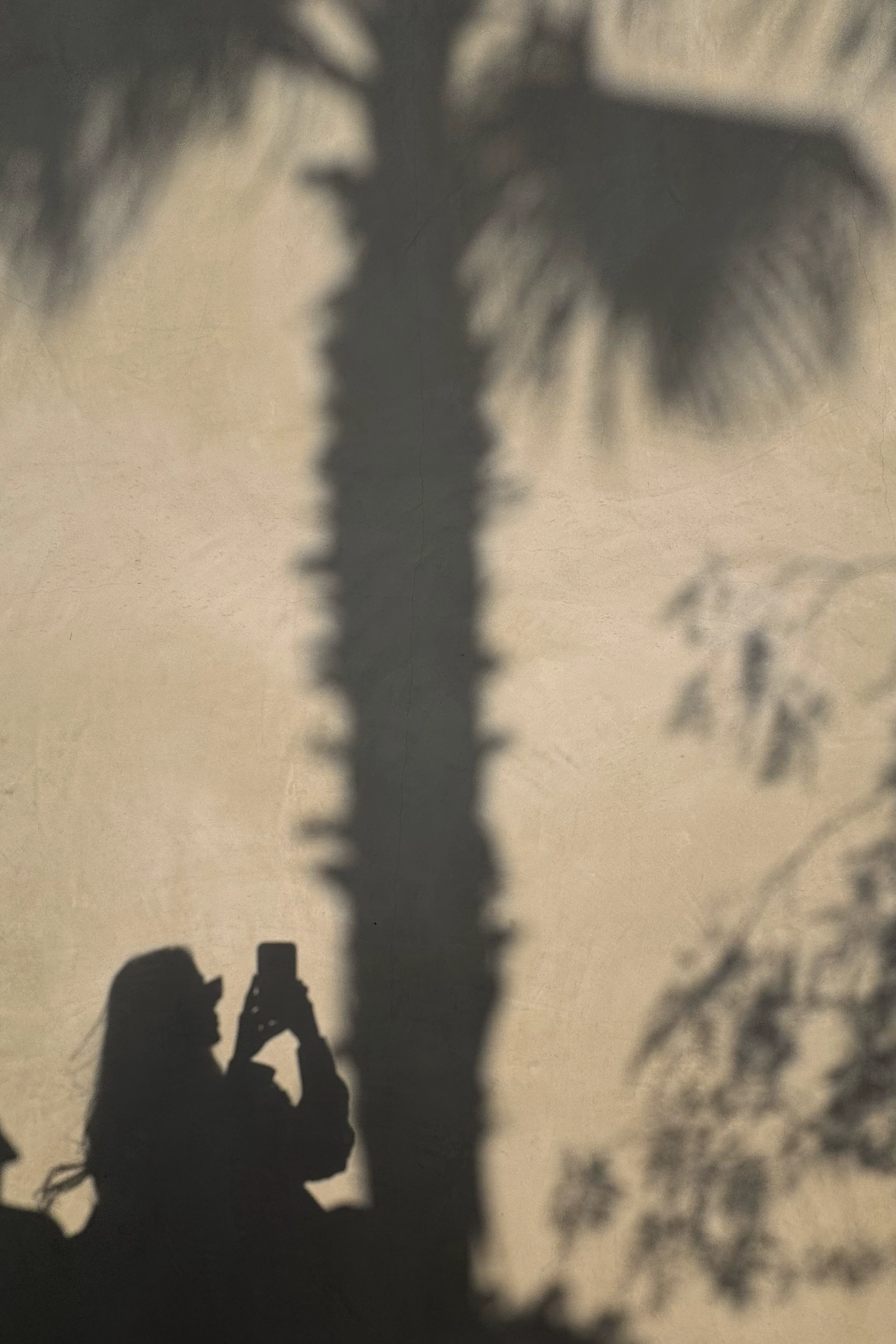 Silhouette of a woman taking a photo with palm tree shadows on a warm textured wall, soft natural light, California mood, minimal aesthetic, силуэт девушки с телефоном на фоне теней пальмы на теплой стене, мягкий свет, silueta de mujer con sombras de palmeras en pared cálida con luz natural suave