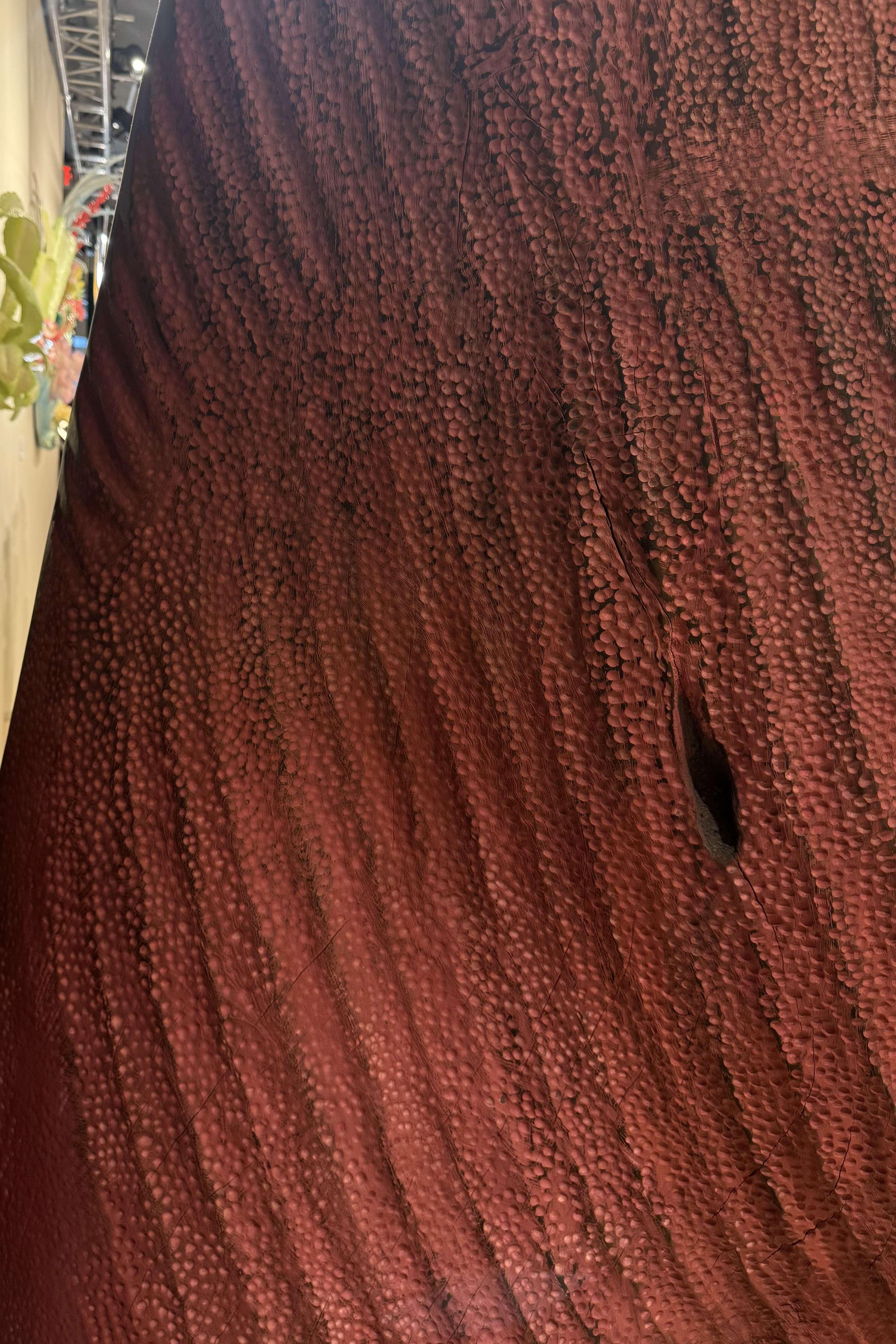 Close-up of textured burgundy surface with tactile, organic relief, showcased in a contemporary design exhibition.